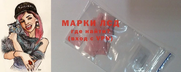 прущие грибы Аркадак
