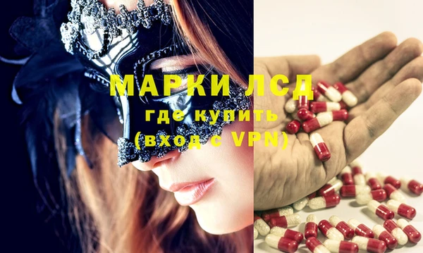 прущие грибы Аркадак