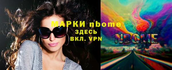 прущие грибы Аркадак