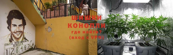 дурь Арсеньев